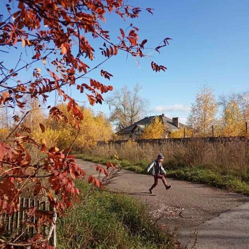 Photo #9695971