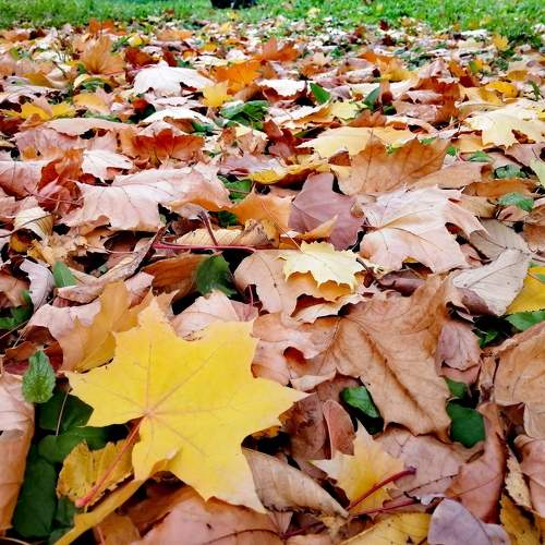 Photo #9696150