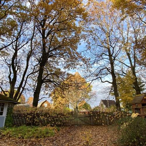 Photo #9696249