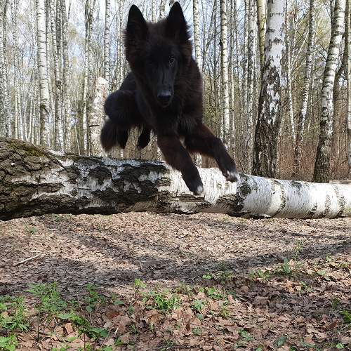 Photo #9696341