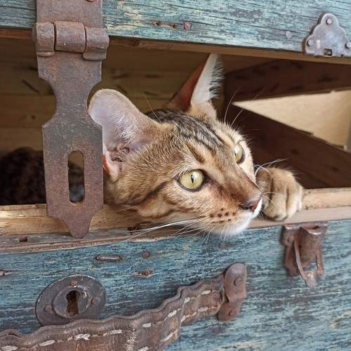 Photo #9696603