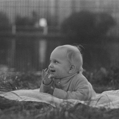 Photo #9696635