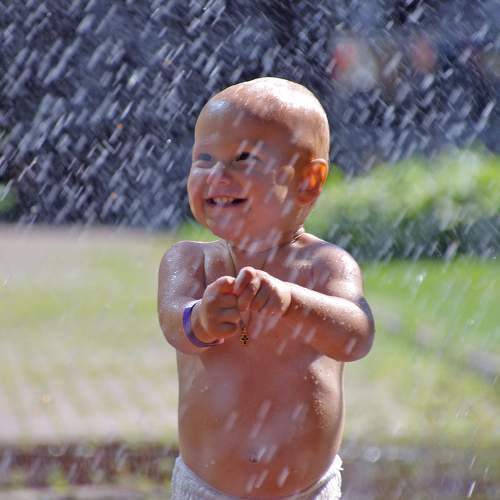Photo #9696852