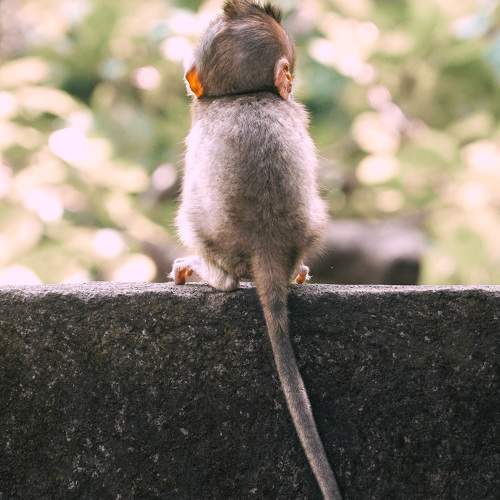 Photo #9696904
