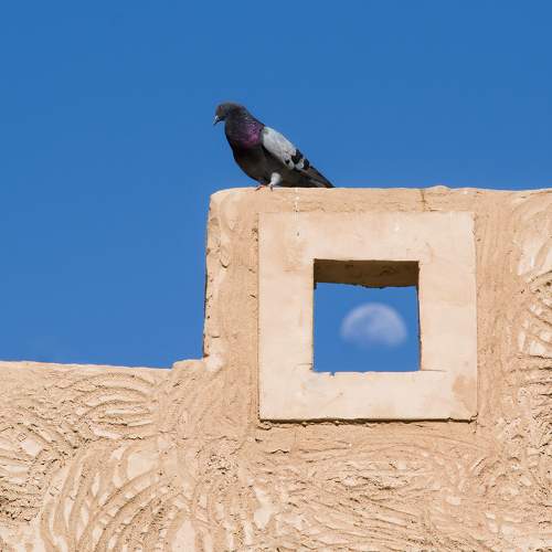 Photo #9696927