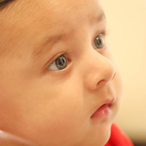 Photo #9697048