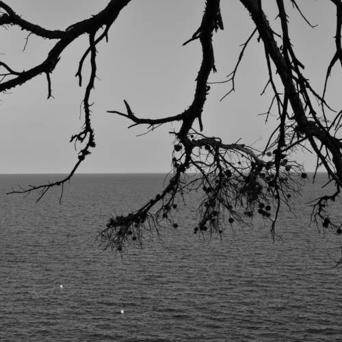 Photo #9697060