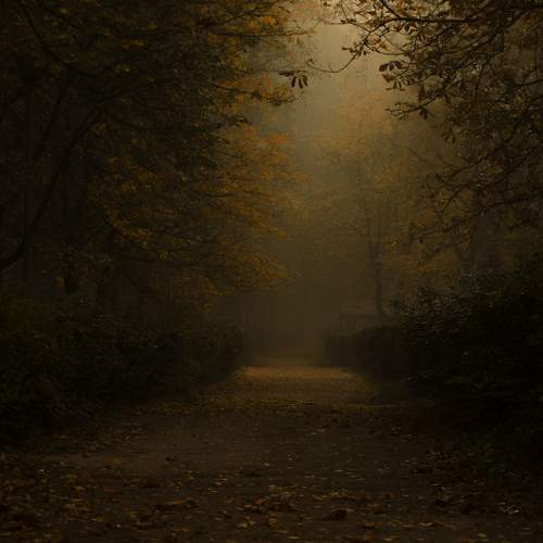 Photo #9697227