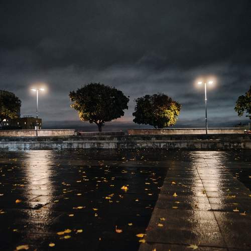Photo #9697517