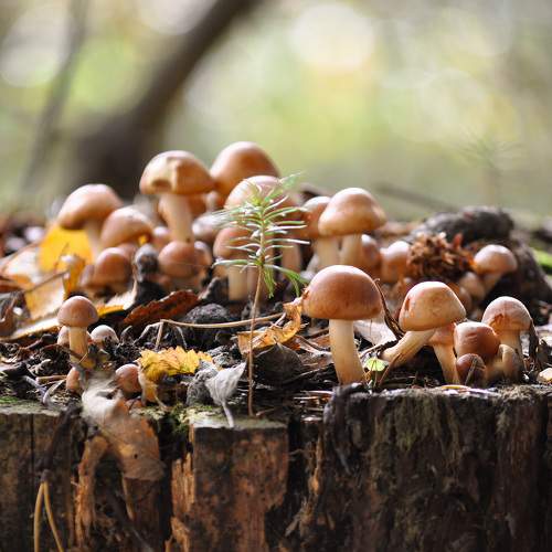 Photo #9697589