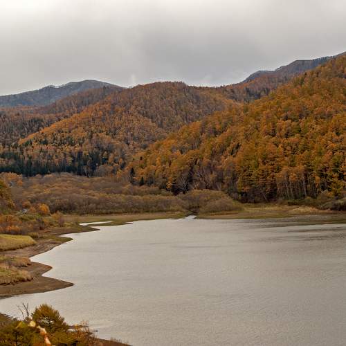Photo #9698062