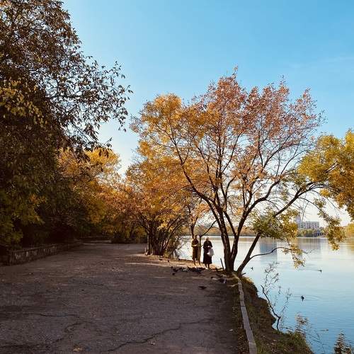 Photo #9698118