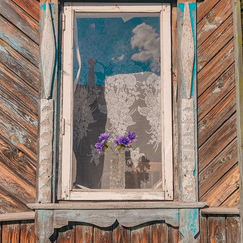 Photo #9698203