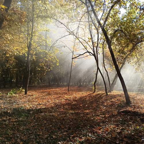 Photo #9698289