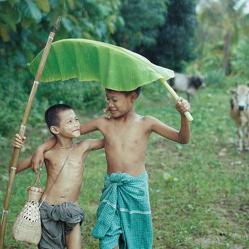 Photo #9698398