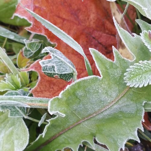 Photo #9698407