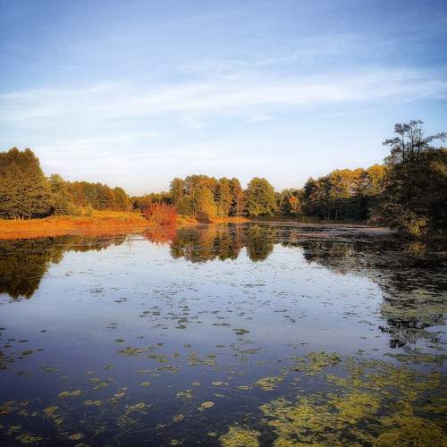 Photo #9698471