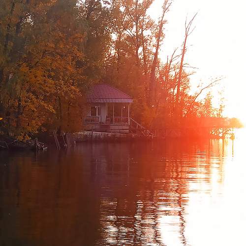 Photo #9698970