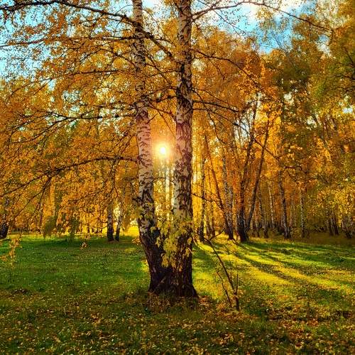 Photo #9699034