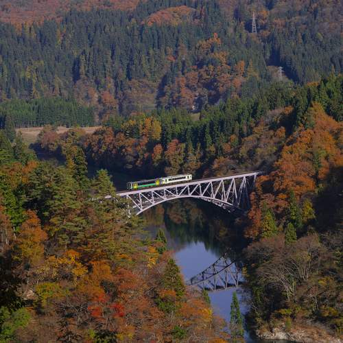 Photo #9699269