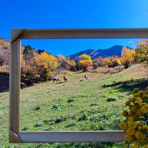 Photo #9699332