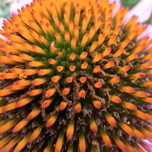 Photo #9699441