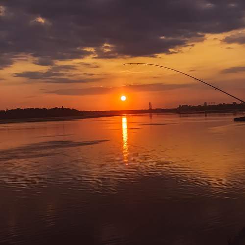Photo #9699456
