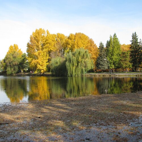 Photo #974142