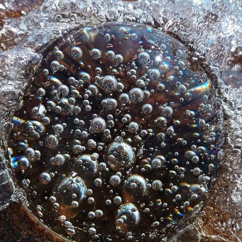Photo #9700550