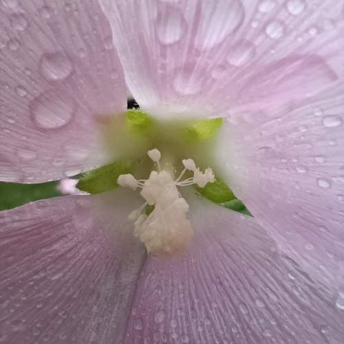 Photo #9700815