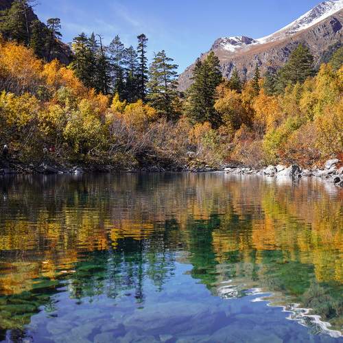 Photo #9701136