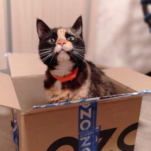 Photo #9701160