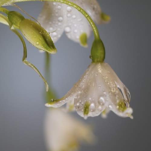 Photo #9701345