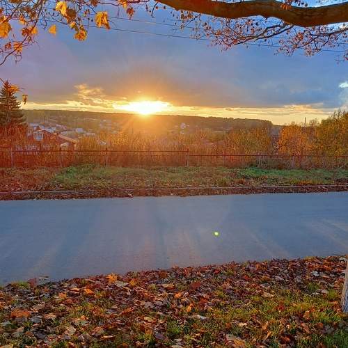 Photo #9701391