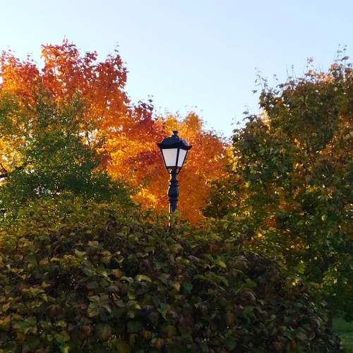 Photo #9701585