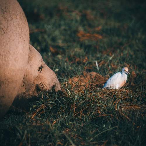 Photo #9701689