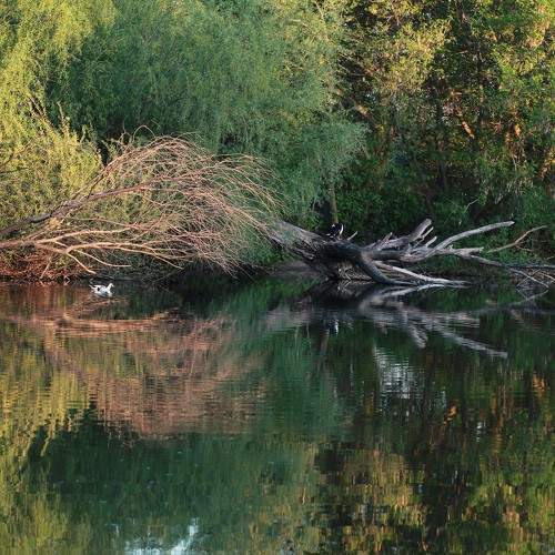 Photo #9701990