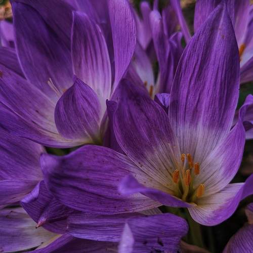 Photo #9702034