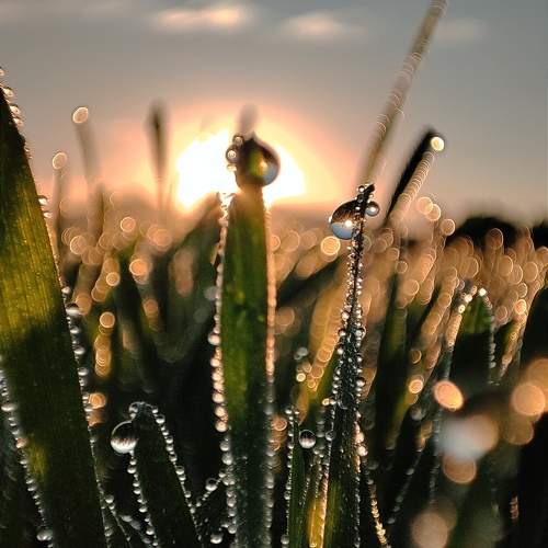 Photo #9702305