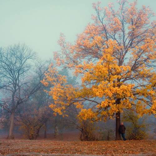 Photo #9702513