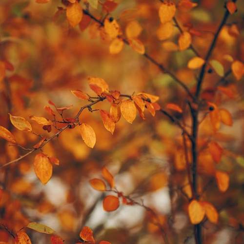 Photo #9702618