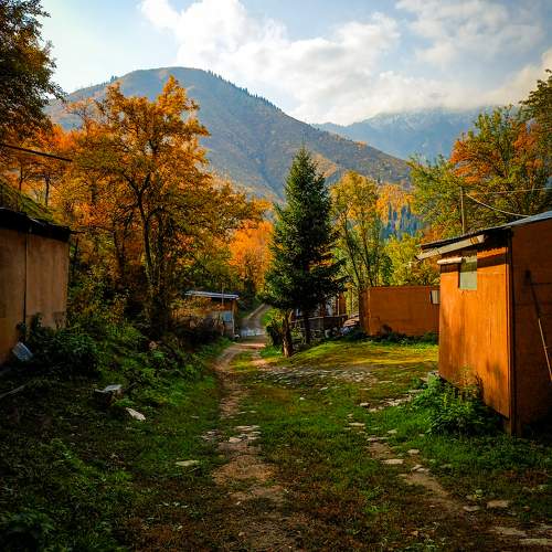 Photo #9702639