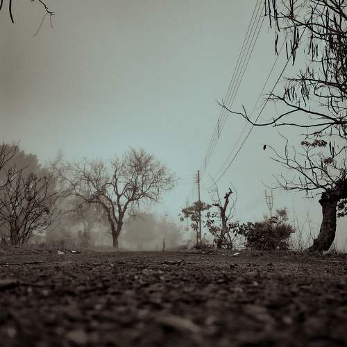 Photo #9702734