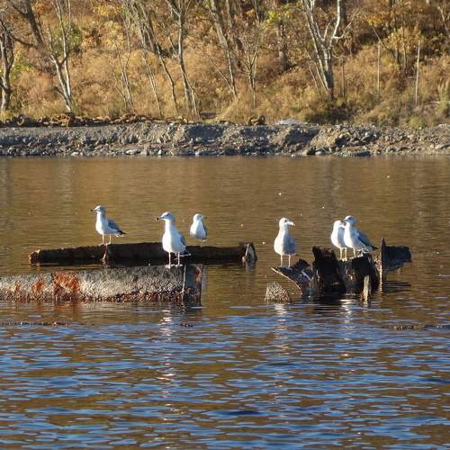 Photo #9702832
