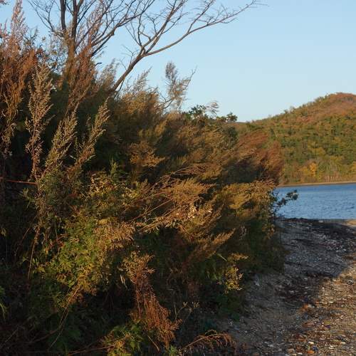 Photo #9702870
