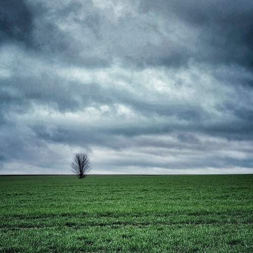 Photo #9702907