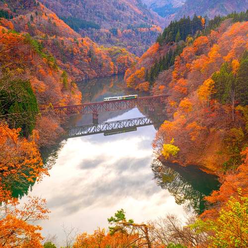 Photo #9703002