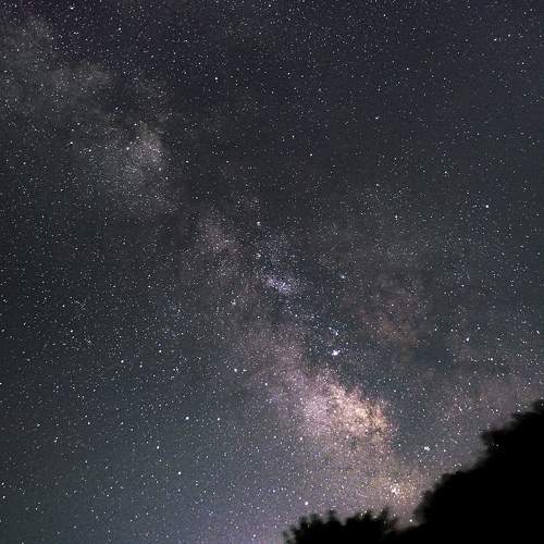 Фотография #9703011