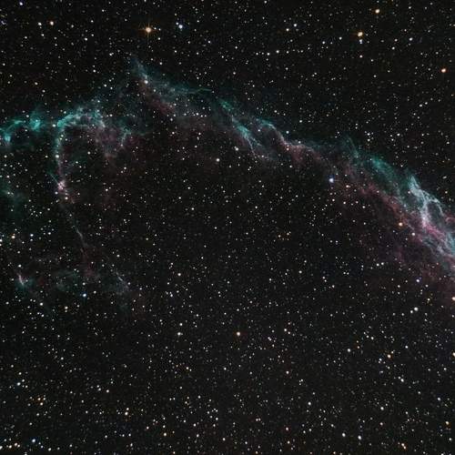 Фотография #9703013