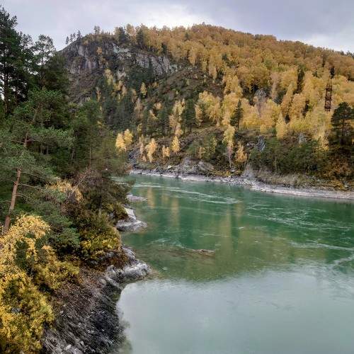 Photo #9703034